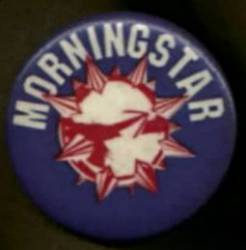 logo Morningstar (USA-2)